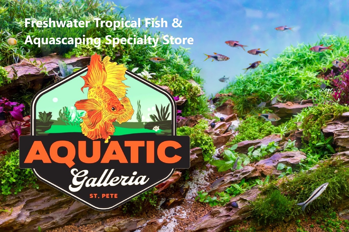 Aquatic Galleria